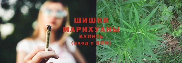 a pvp Богданович