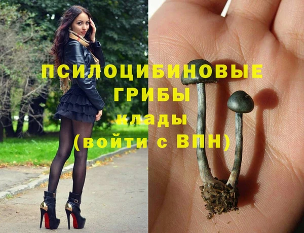 амфетамин Богородицк