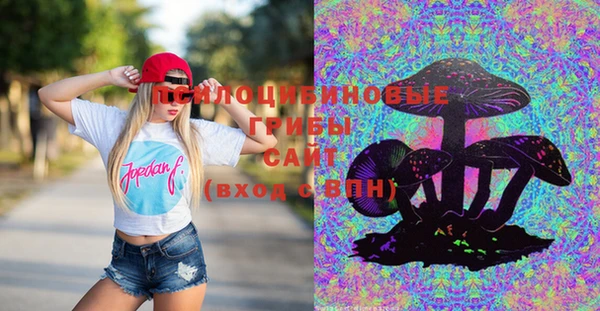 a pvp Богданович