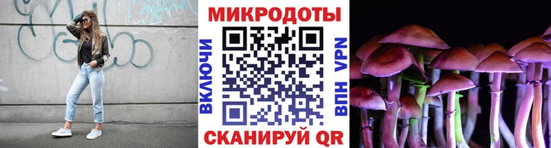Псилоцибиновые грибы Psilocybine cubensis  Купить  Грязи 